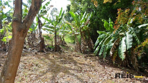 Imagem 18 de 30 de Sítio À Venda, 10000 M² Por R$ 250.000,00 - Piedade - Piedade/sp - Si0017