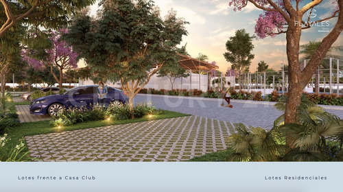 Imagen 11 de 19 de Los Mejores Lotes Residenciales En La Costa Yucateca Con Club De Playa A 48 Msi!