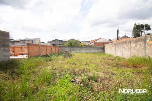 Imagem 9 de 10 de Terreno Para Venda - 11901.001