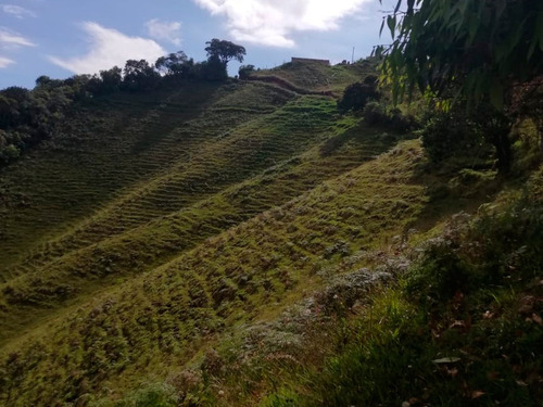 Imagen 15 de 24 de Vendo Finca De 10,56 Ha Con Alto Potencial Productivo Bien Ubicada