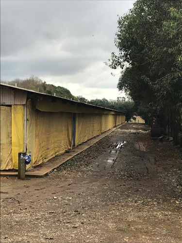 Chácara Com Granja Funcionando Em Quadra / Tatuí - 34 Mil M² - 1022