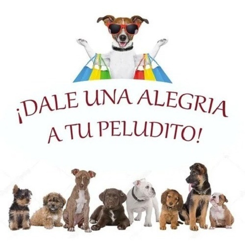 Kit 3 Piezas Juguete Gato Ratoncito Gamuza Sonajero Ruedita