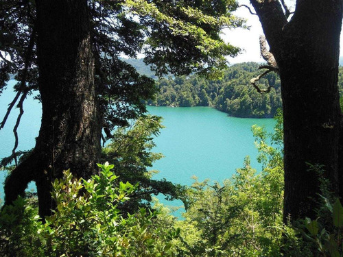 Imagen 5 de 30 de Isla Cui Cui Lago Puyehue 0