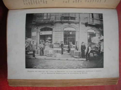 Avicultura - Dr. Salvador Castello Y Carreras 1904