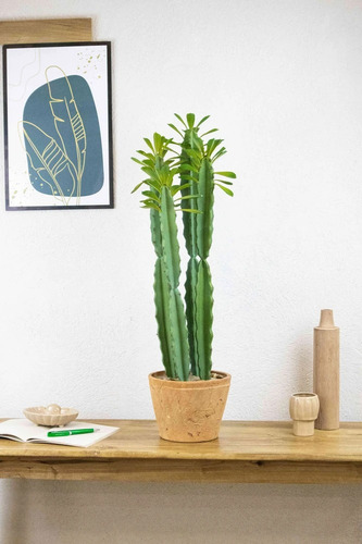 Cactus Planta Artificial Grande 77cm Calidad Premium