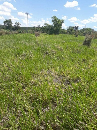 Imagem 26 de 27 de Sitio Campinas Antes Do Pedagio De Jaquariuna 46 Hectares - 42655