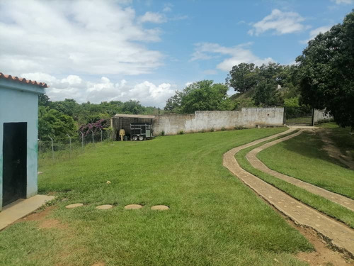 Imagen 11 de 14 de Venta Finca Tocuyito Carabobo Cod. 148247