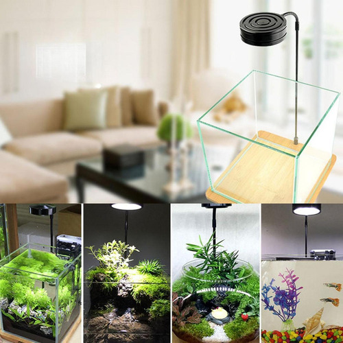 Luz Da Aquário Com Luz Do Tanque De Peixes Do Suporte, 3w