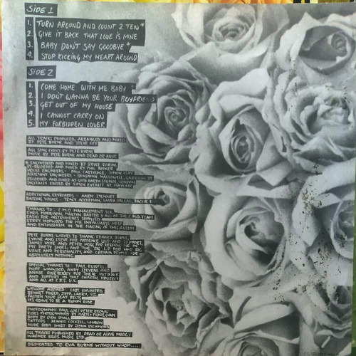 Lp Dead Or Alive Nude 1989 Com Encarte (Usado)