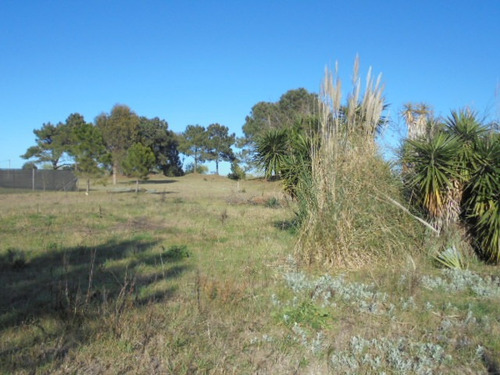 Imagen 3 de 6 de Terreno En Venta En Mar De Ajó