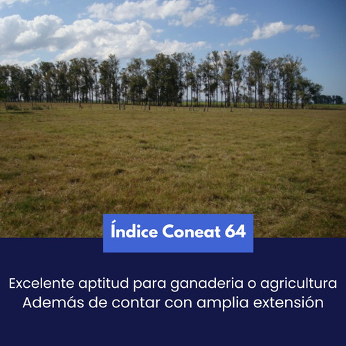 415 Hectáreas Ganaderas Agrícolas A 23 Km De Treinta Y Tres.