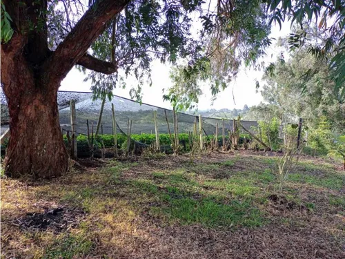 Lindo Lote En Venta Con Excelente Vista Y Aprovechamiento - Carmen Víb