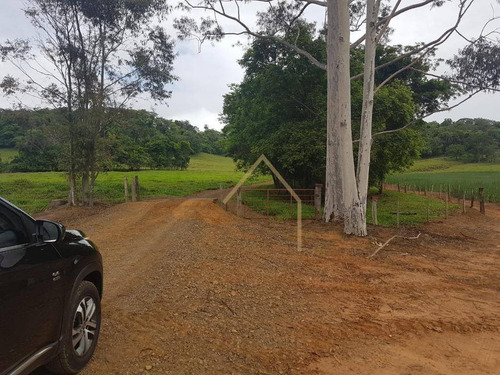 Imagem 22 de 30 de Sitio 29 Alqueires Santa Rita Do Passa Quatro Sp - Si0019