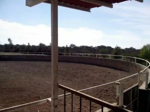 Excelente Rancho En Venta En Aguascalientes Con Lienzo A 10