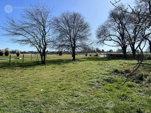 Imagen 3 de 14 de Lote Al Golf De 992m2 Con Orientación Noroeste - Haras Santa Maria