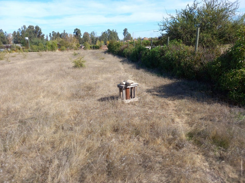 Imagen 5 de 6 de Parcela De 5.000m2, Urbanizada Con Accesos Al Lago.
