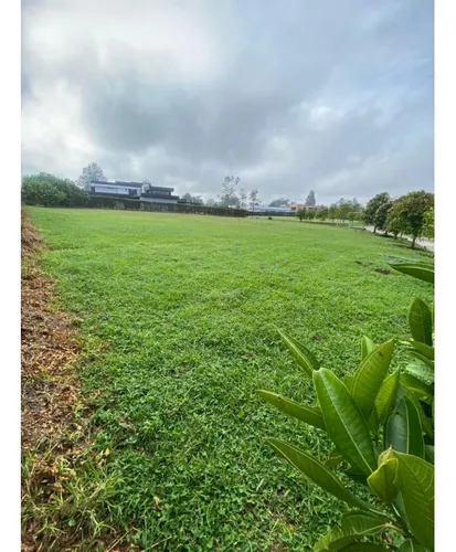 Lote En Venta En Rionegro - Llanogrande