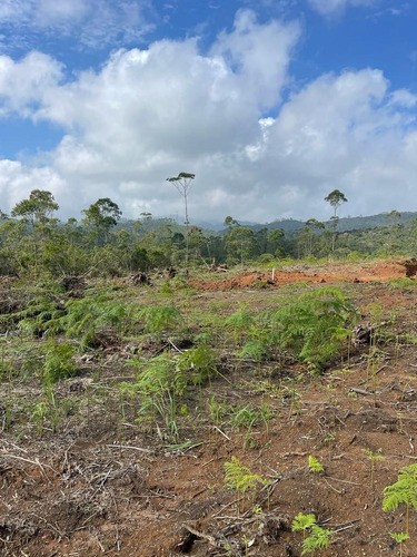 Imagem 1 de 30 de 51- Vendo Terreno Por 60 Mil Em Mogi Das Cruzes