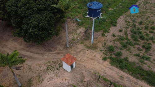 Imagem 16 de 30 de Granja Com 13 Hectares E Plantação Rentabilizando - Ch0065