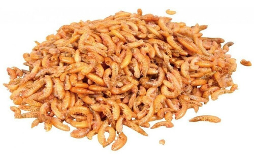 Imagen 2 de 4 de 60g Gammarus Comida Tortuga Alimento Para Tortugas Alimento