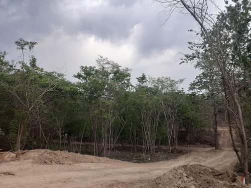 Imagen 5 de 7 de Terreno En Venta Libertad