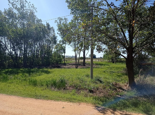 Imagen 3 de 6 de Terreno - Gualeguaychu