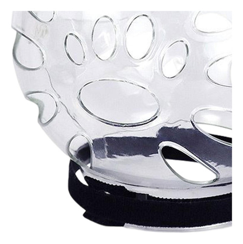 Suministros Para Gatos Domésticos Largo 155mmx145mm