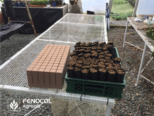 Imagen 5 de 9 de Caja De Espuma Agrícola Ultrafoam 4x4x14 (432 Cubos) (d)