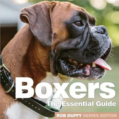 Libro Boxers : The Essential Guide - Rob Duffy