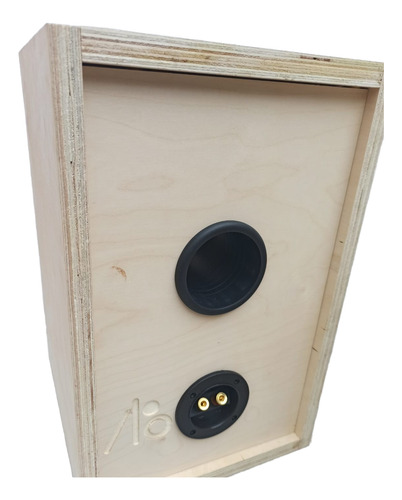 1 Par De Bafles Hi Fi Bocinas Bookshelf Vacios Audiofilos Natural Abedul