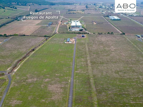 Santa Cruz - Viña 5.000 M2 - Fuegos De Apalta