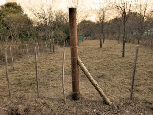 Imagen 6 de 6 de Venta De Lote De 400m2 Ubicado En Casa Grande