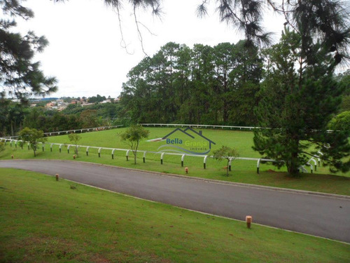 Imagem 10 de 20 de Haras Guancan (granja Viana) - Te0124