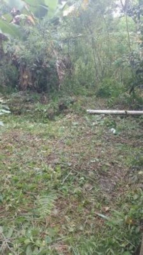 Imagem 18 de 18 de Chácara No Bairro Sítio Velho, Em Itanhaém, Com 850 M² De Área Total, Aceita Entrada Mais Parcelas