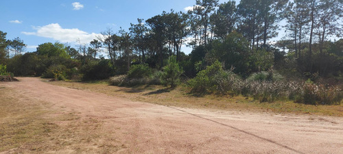 Imagen 23 de 28 de Vendo 1 O 2 Lotes De 584 M2 En Punta Del Diablo