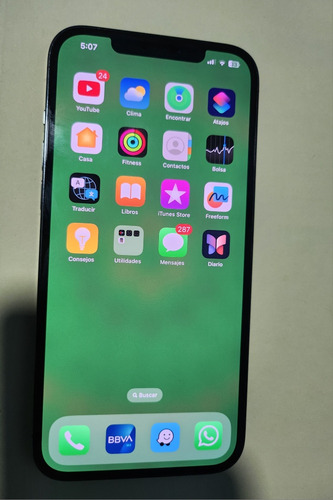 iPhone 12 Pro Max (Usado)