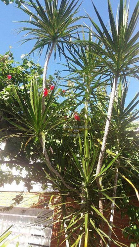 Sobrado A Venda Em Santana, Com 200m@ De Construção - So0897