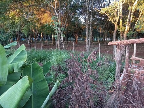 Imagem 13 de 18 de Chácara Com 2 Dormitórios À Venda, 10000 M² Por R$ 750.000,00 - Loteamento Porto Dourado - Foz Do Iguaçu/pr - Ch0020