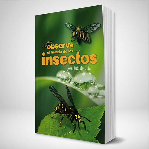 Observa El Mundo De Los Insectos - Editorial Aces