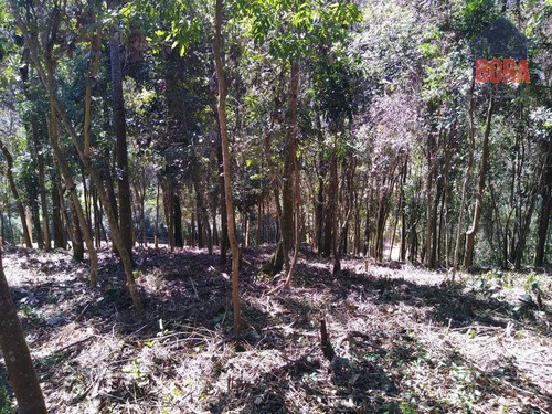 Imagem 5 de 6 de Terreno À Venda, 1365 M² Por R$ 60.000 - Mato Dentro - Mairiporã/sp - Te0308