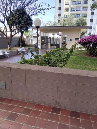 Imagem 25 de 25 de Apartamento Para Alugar, 55 M² Por R$ 1.250,00/mês - Limão (zona Norte) - São Paulo/sp - Ap4989