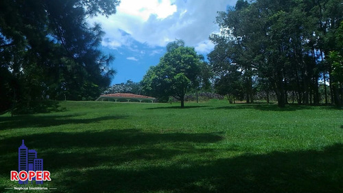 Imagem 7 de 14 de Linda Chácara Com Escritura De 18.000 Metros À Venda Em Atibaia. - Ch00844 - 68082678