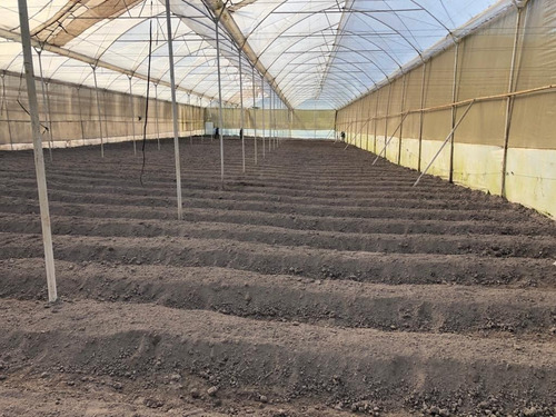 Imagen 6 de 15 de En Venta Finca De 2 Hectáreas En La Guanota