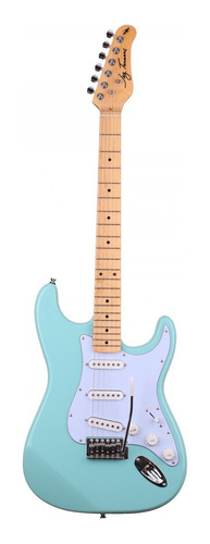 Guitarra Electrica Stratocaster Jay Turser Jt-300m
