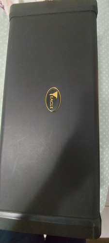 Sax Alto Eagle Sa501 Zerado Tooopppp Dourado (Usado)