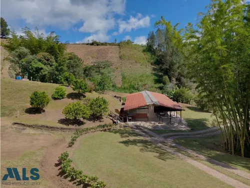 Grandiosa Finca Con Cultivos De Aguacate Hass(mls#247937)