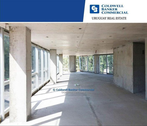 Oficina Avenida De Las Américas Alquiler