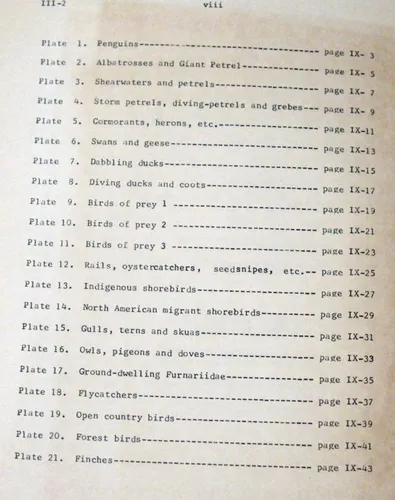 Birds Of Isla Grande Tierra Del Fuego Pájaros Ingles 1970 (Usado)