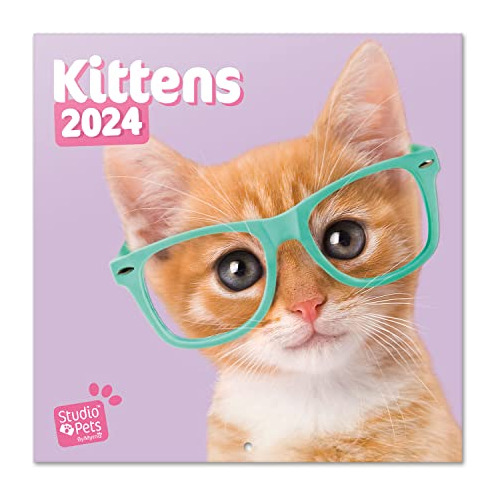 Calendario De Pared Oficial De Studio Pets Cats 2024, 1...