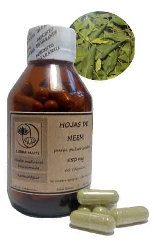 Hojas De Neem - Azadirachta Indica- Cápsulas 600 Mg X 60u